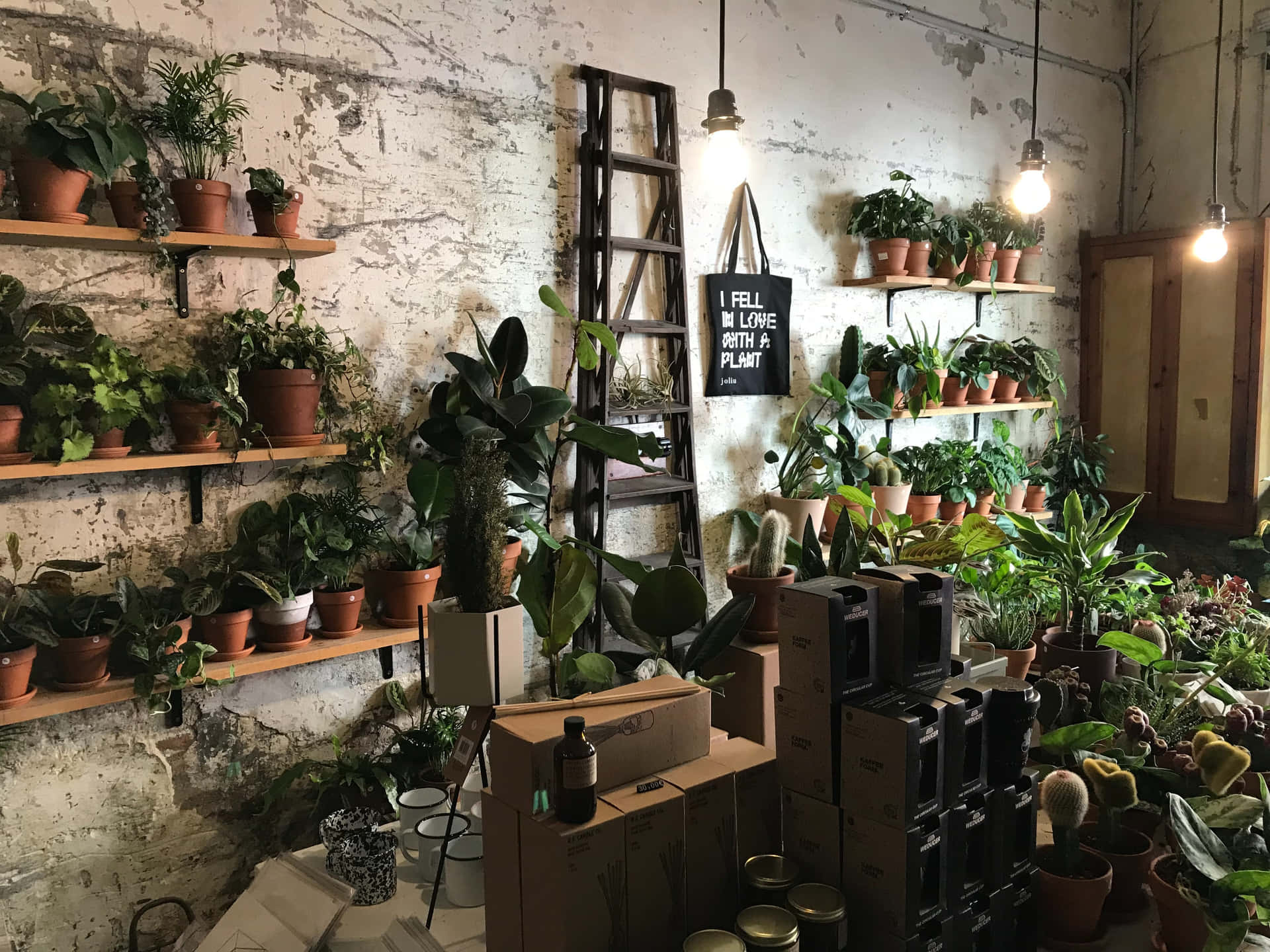 A Store With Many Potted Plants And Pots