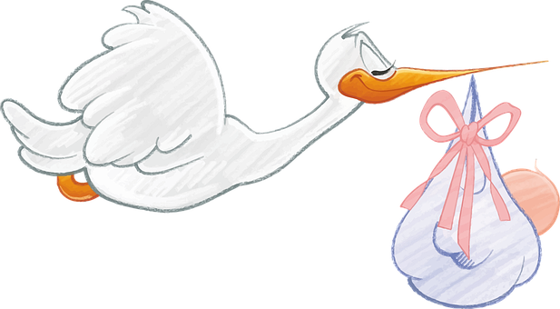 Stork Delivering Baby Bundle PNG