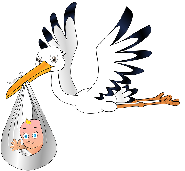 Stork Delivering Baby Cartoon PNG