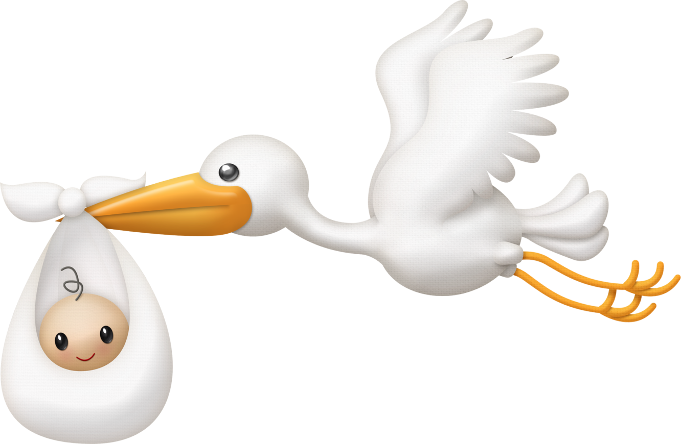 Stork Delivering Baby Emoji PNG