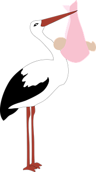 Stork Delivering Baby Illustration PNG