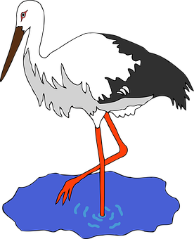 Stork Standingin Water Illustration PNG