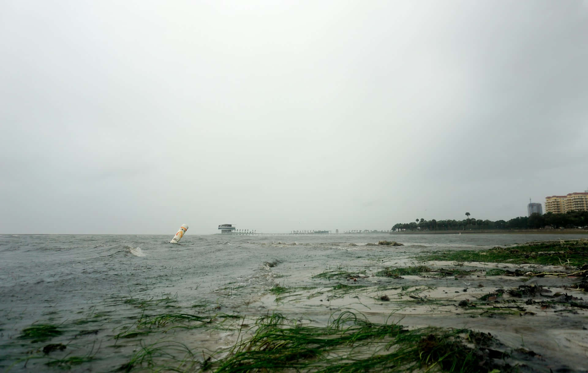 Stormy Seascapewith Seagrass Debris Wallpaper