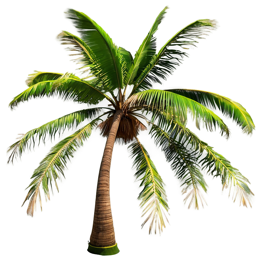 Stormy Sky Palms Png Uyr PNG