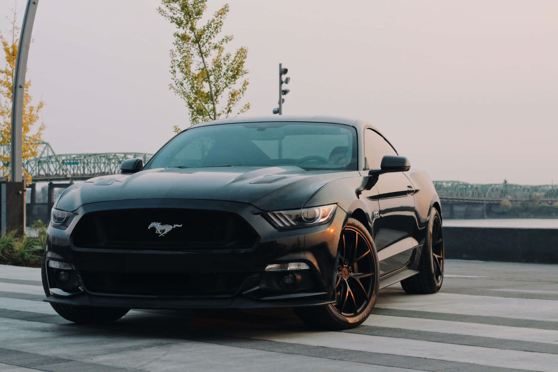 Stradaaperta E Incontaminata Davanti Ad Una Magnifica Mustang.