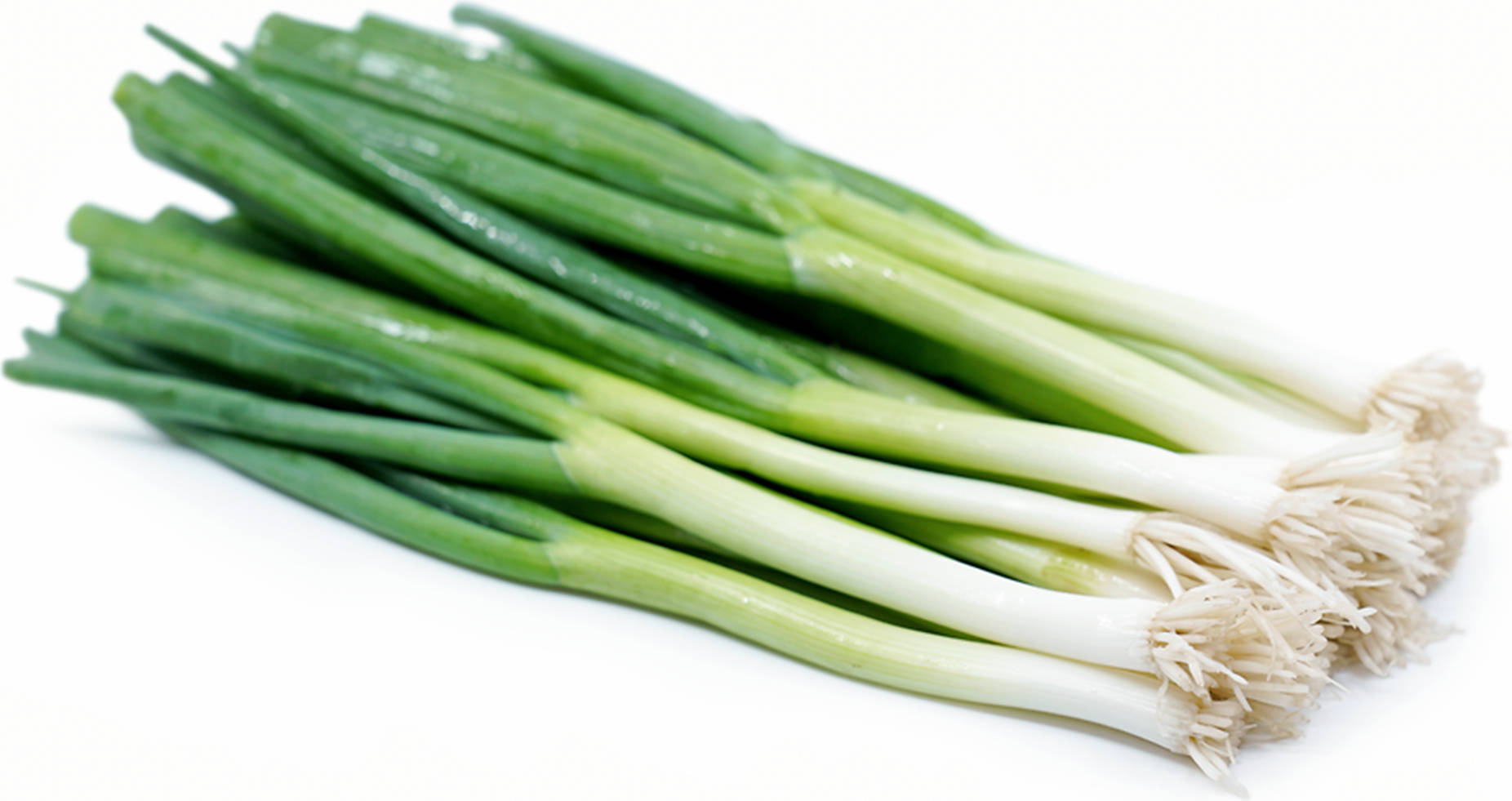 Green onions в каких фильмах играла