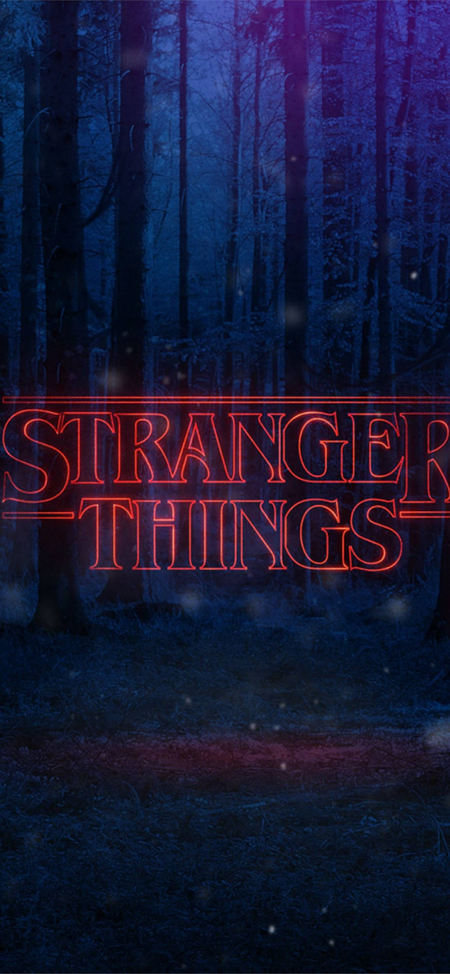 Image  Aesthetic view of the Stranger Things Forest Wallpaper