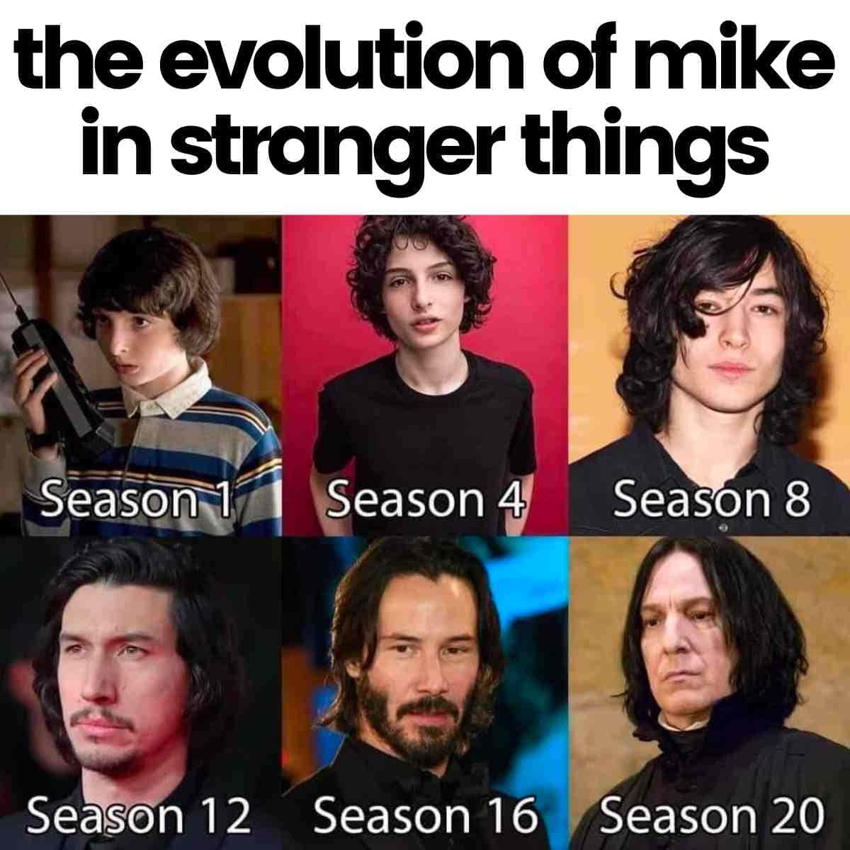 Mike Stranger Things Funny Evolution Picture