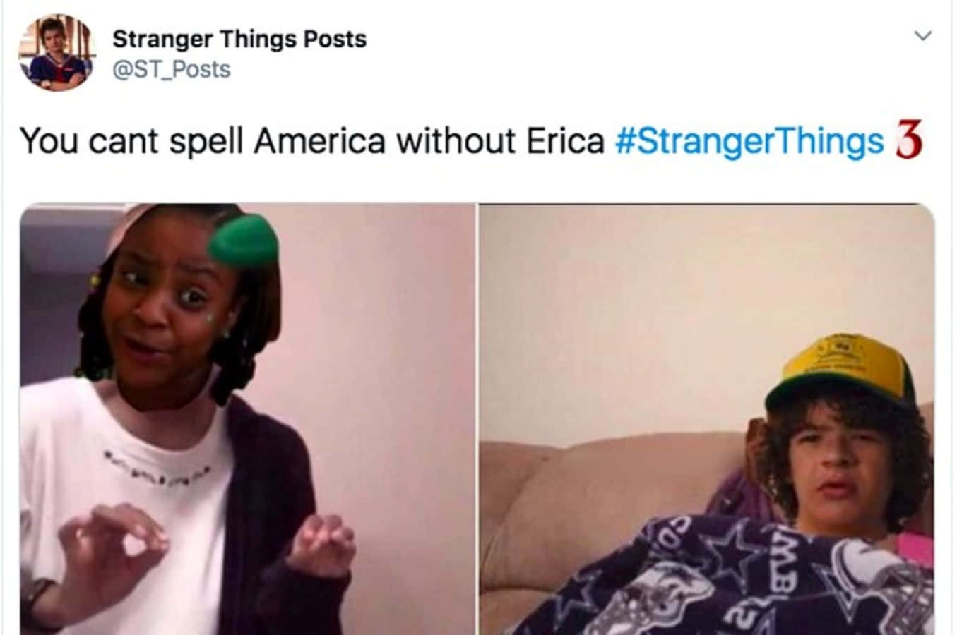 Erica And Dustin Stranger Things Funny Picture