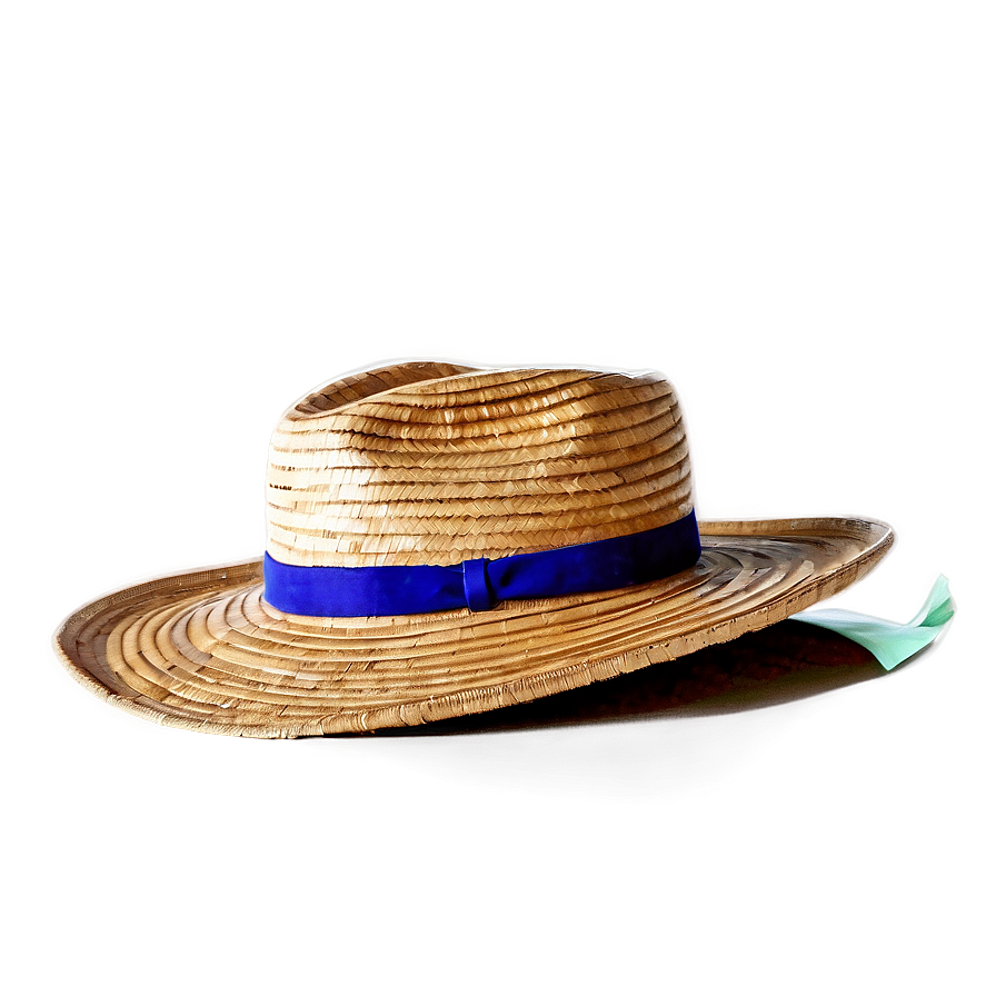 Straw Hat Transparent Background Png Dbl PNG