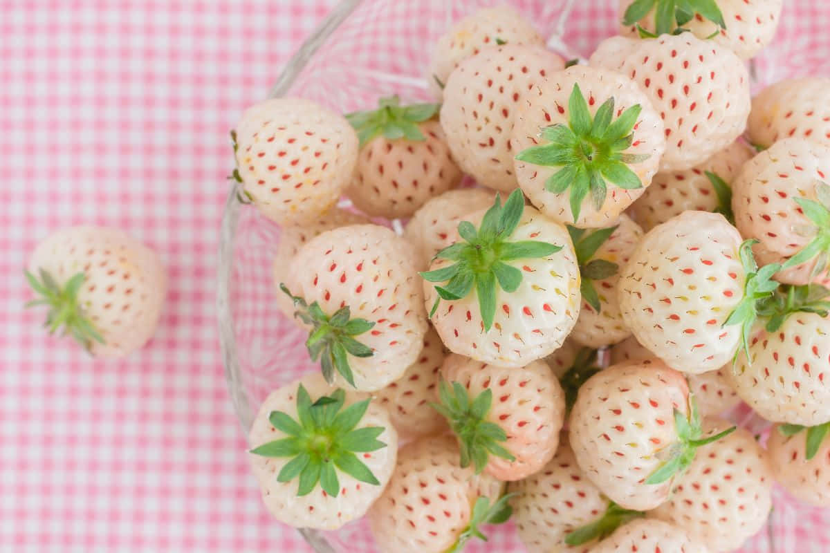 Top View Of White Strawberries Background