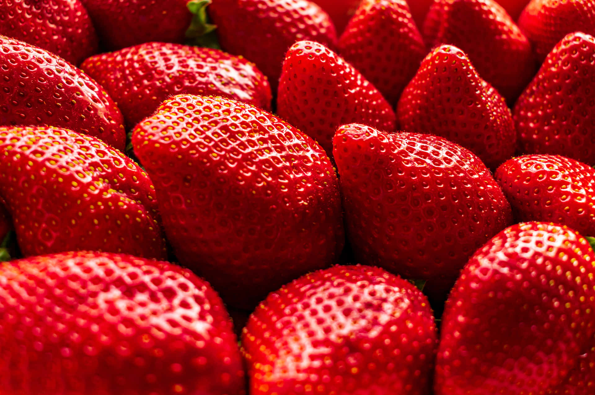 Enjoy a juicy strawberry!