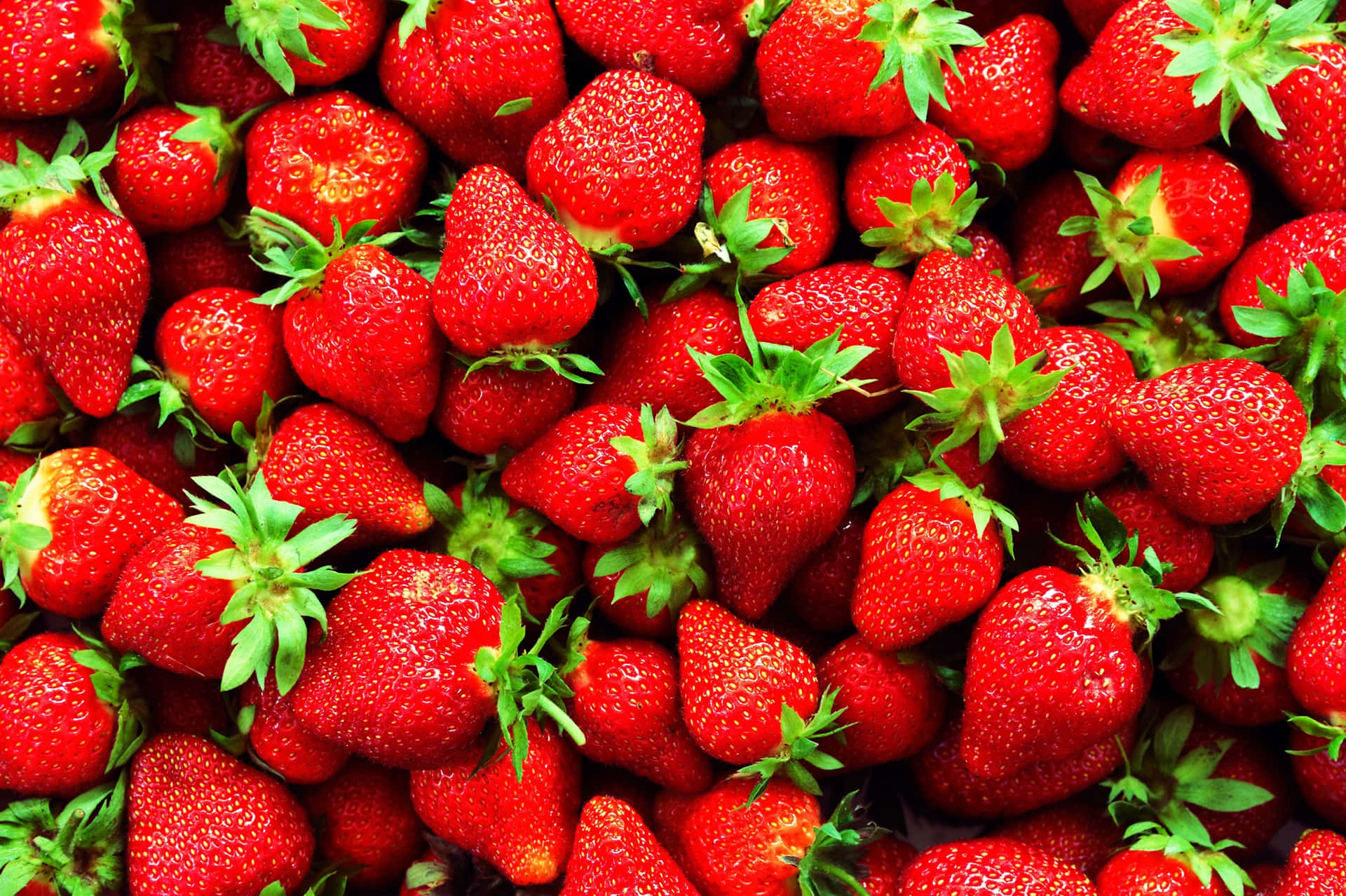 An abundance of ripe and tasty Strawberries
