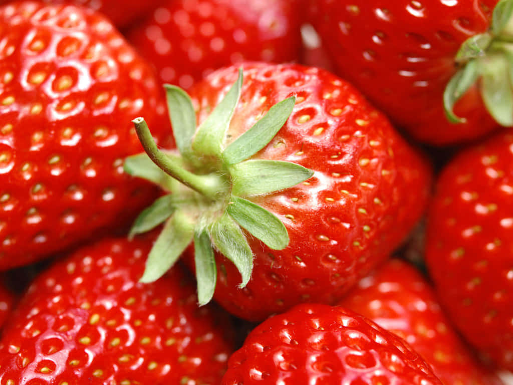 Fresh Strawberries Background