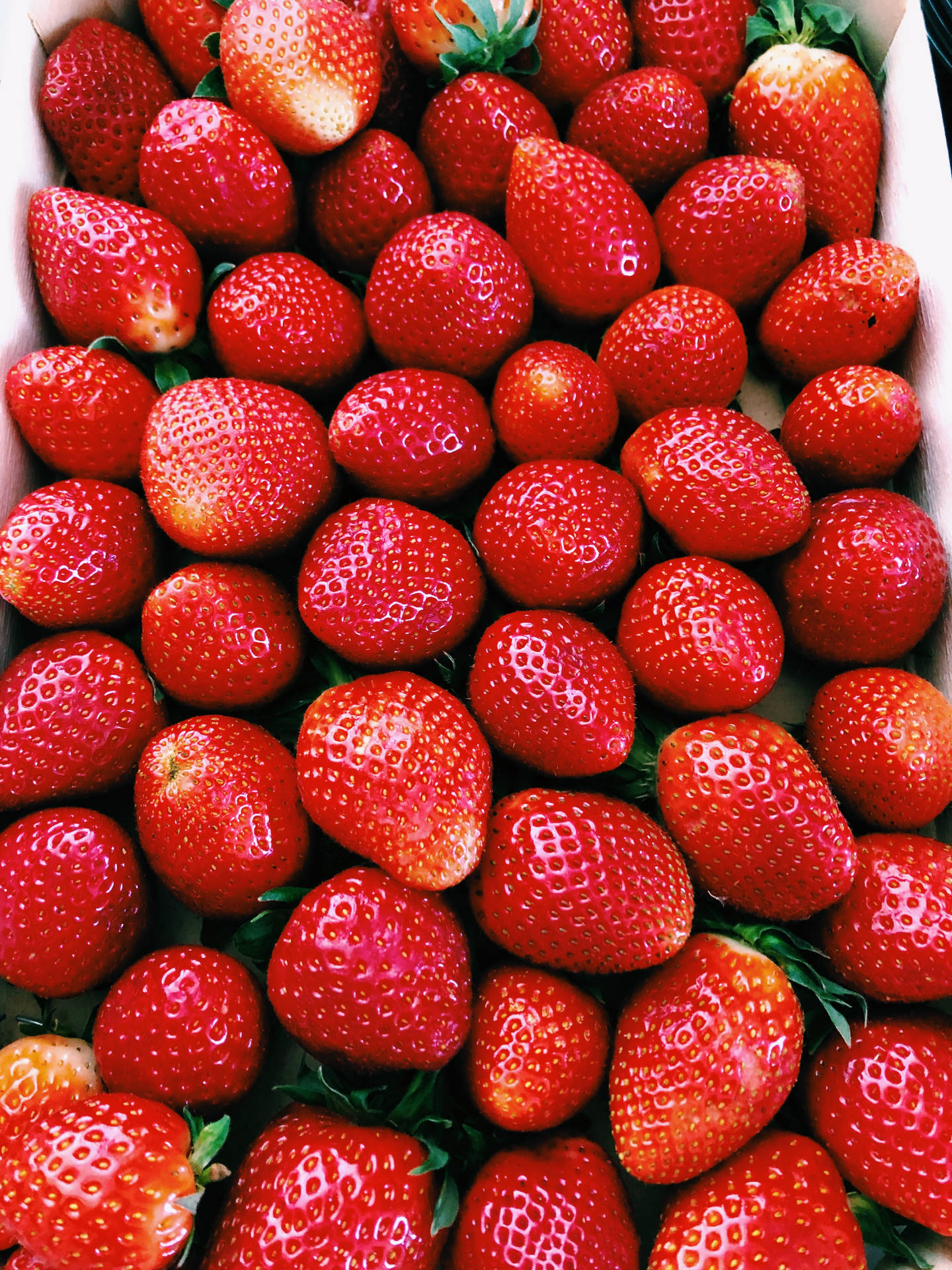 Strawberry Fruit Shiny Skin Wallpaper