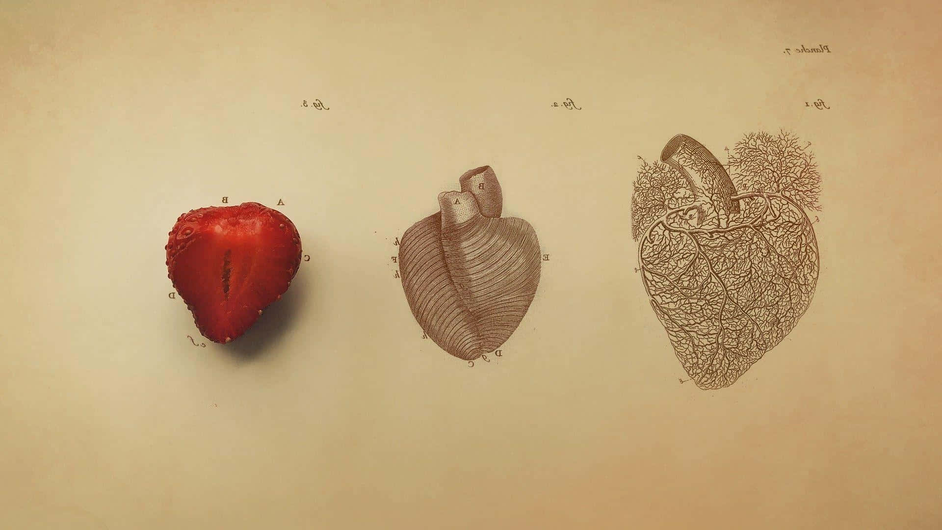 Strawberry Heart Evolution Art Wallpaper