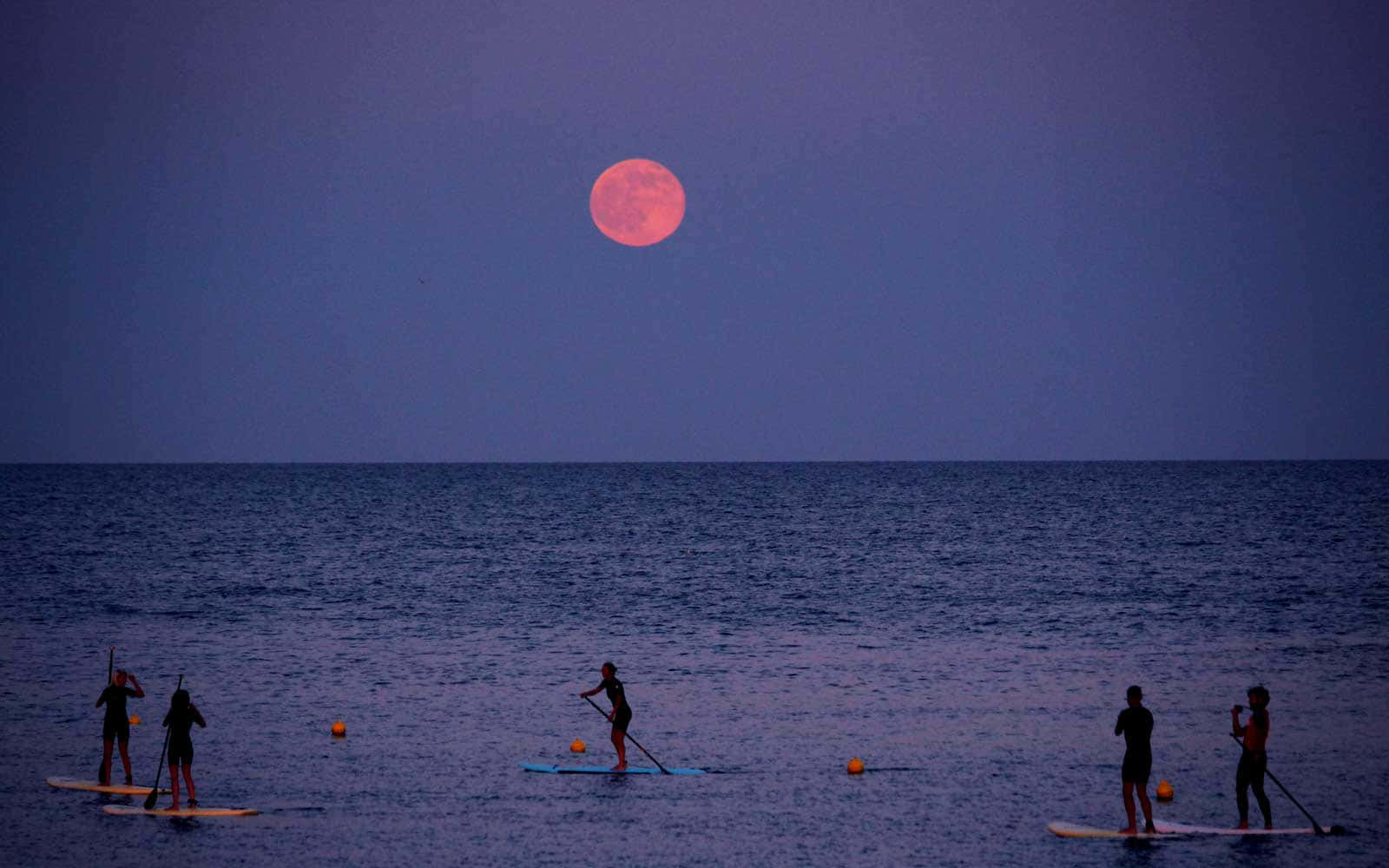 Spectacular Strawberry Moon illuminating the night sky. Wallpaper