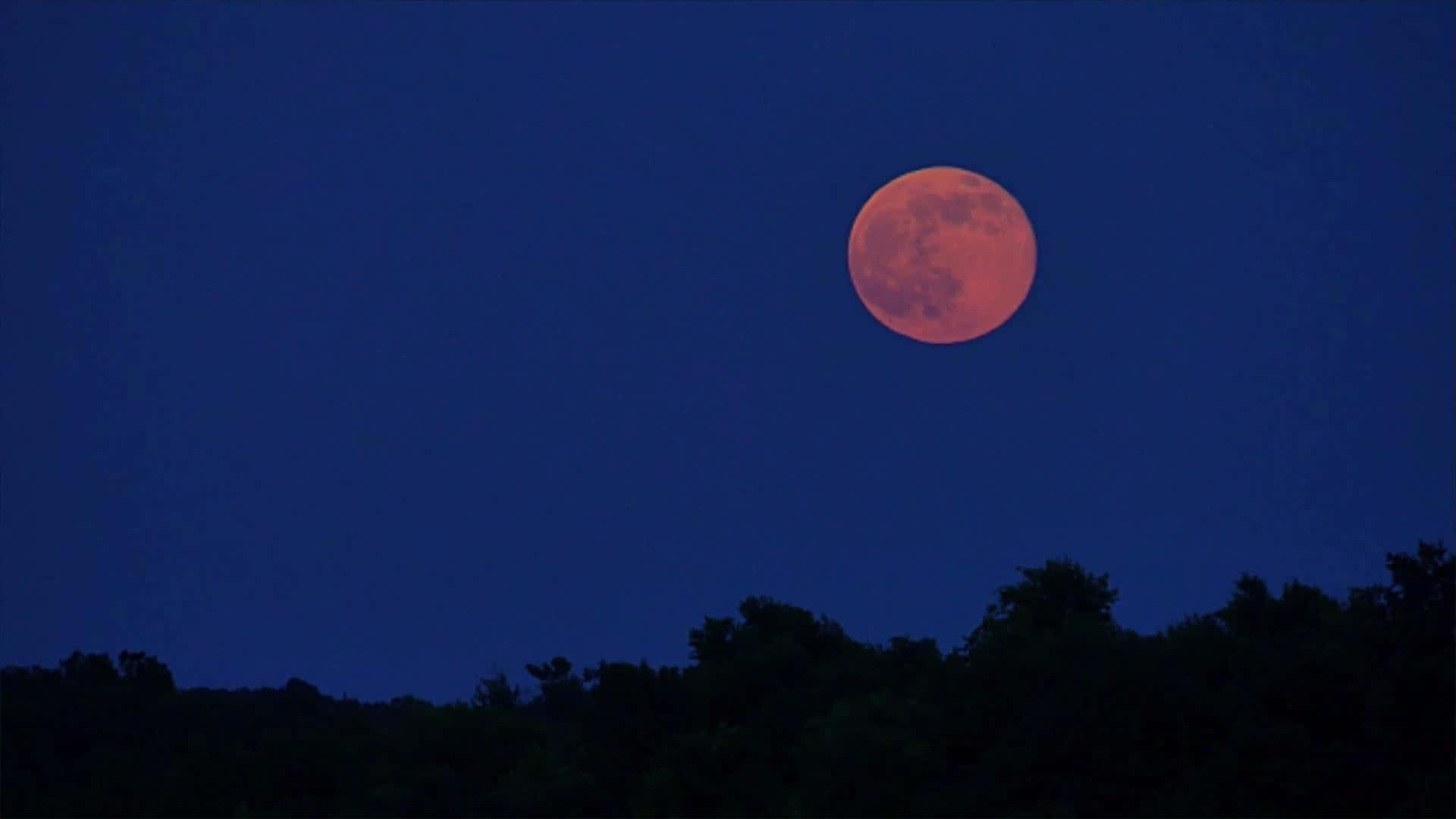 Captivating Strawberry Moon Illuminating the Night Sky Wallpaper
