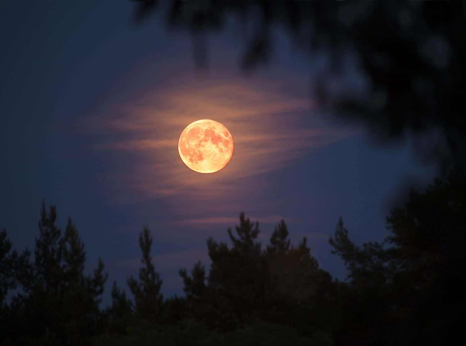 Ciel Nocturne De Lune Fraise Fond d'écran