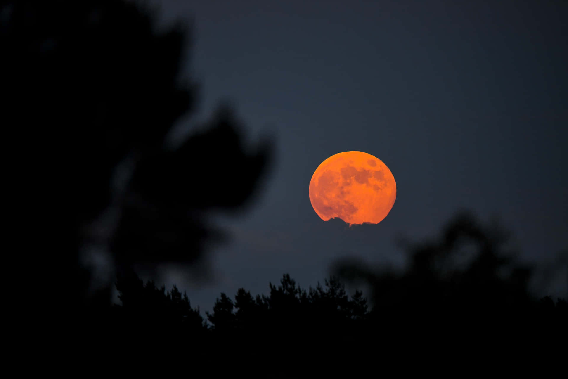 Strawberry_ Moon_ Rising_2019.jpg Wallpaper