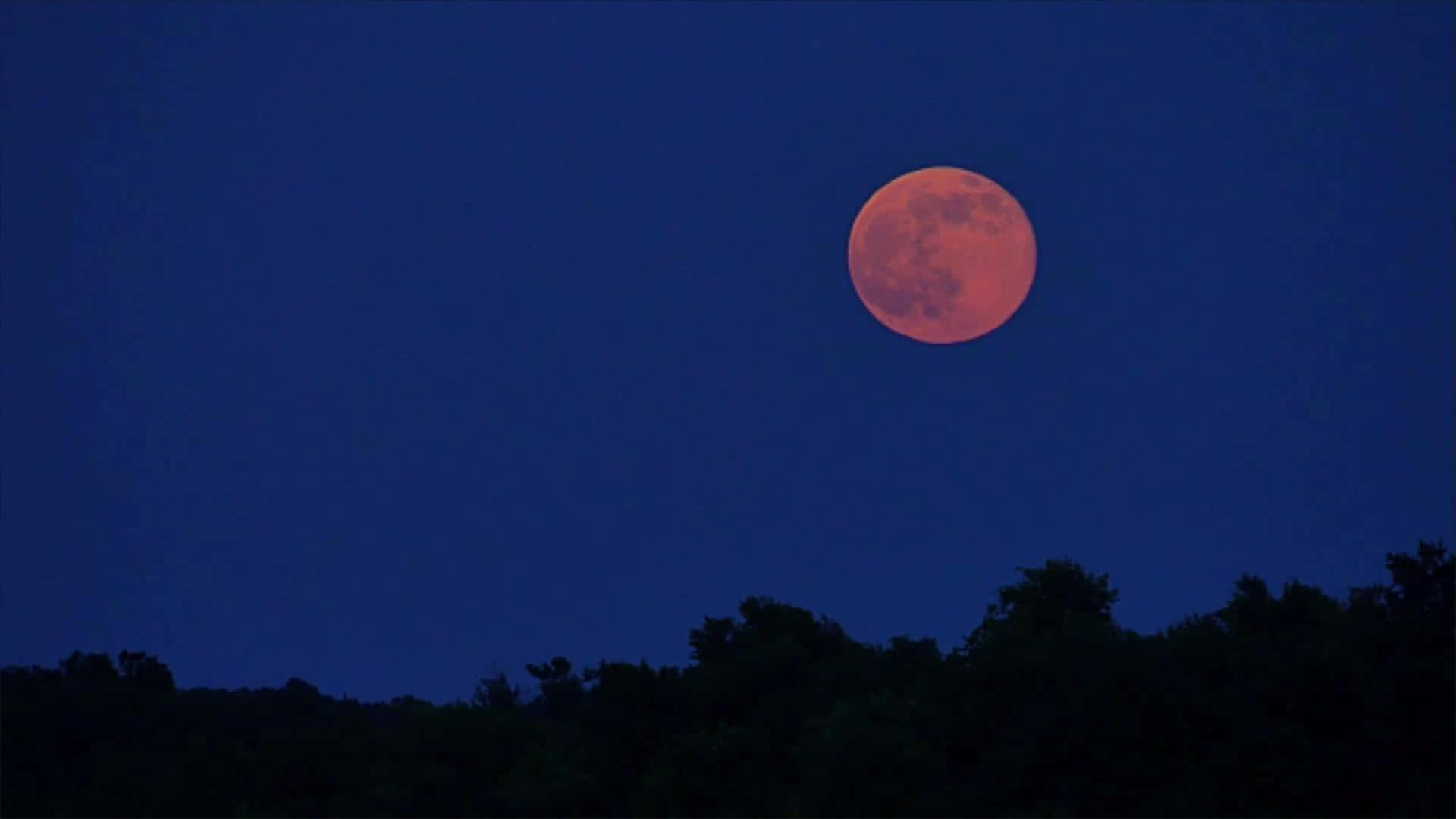 Strawberry Moon2019 Night Sky Wallpaper