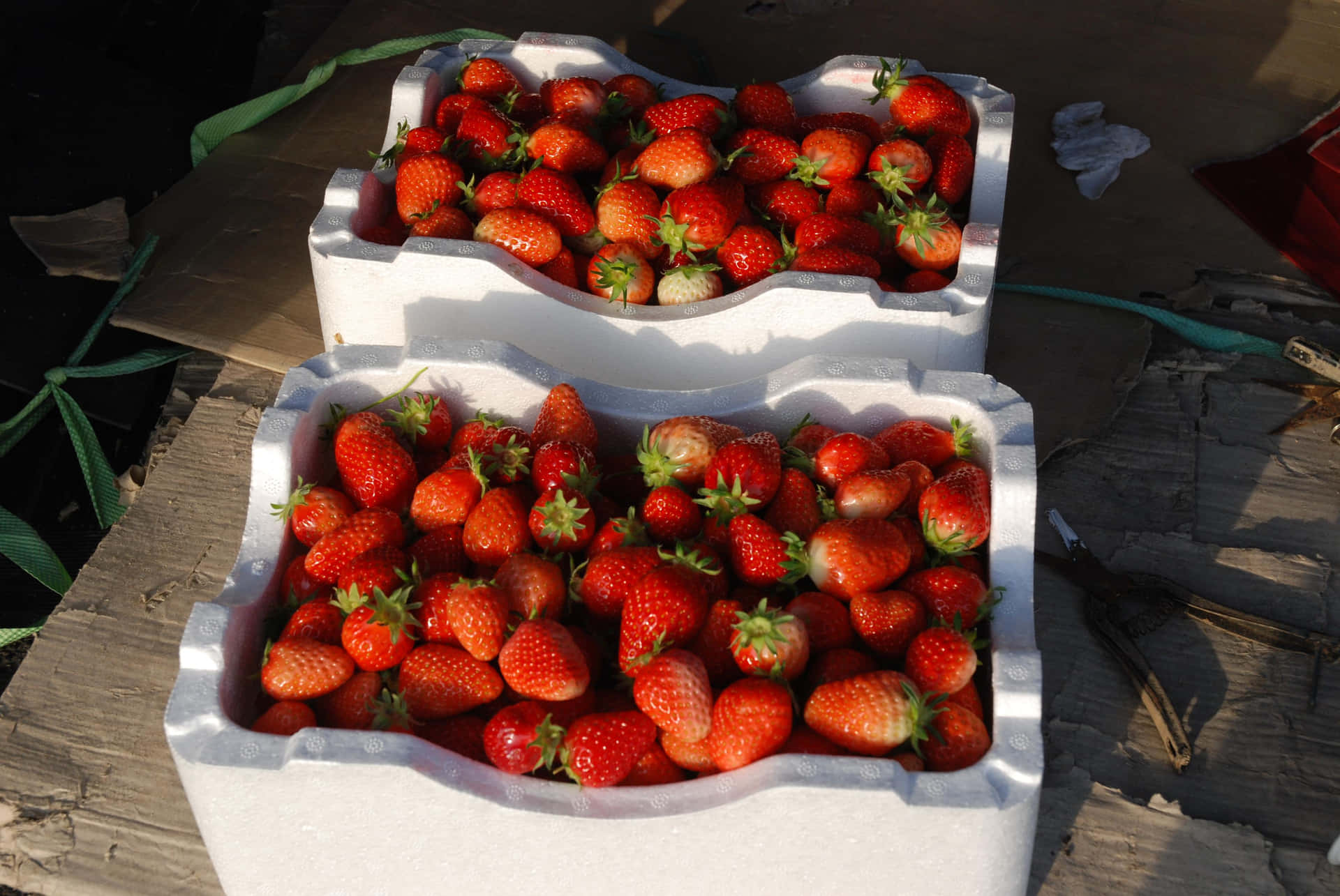 Fülligeund Saftige Rote - Frische Erdbeeren