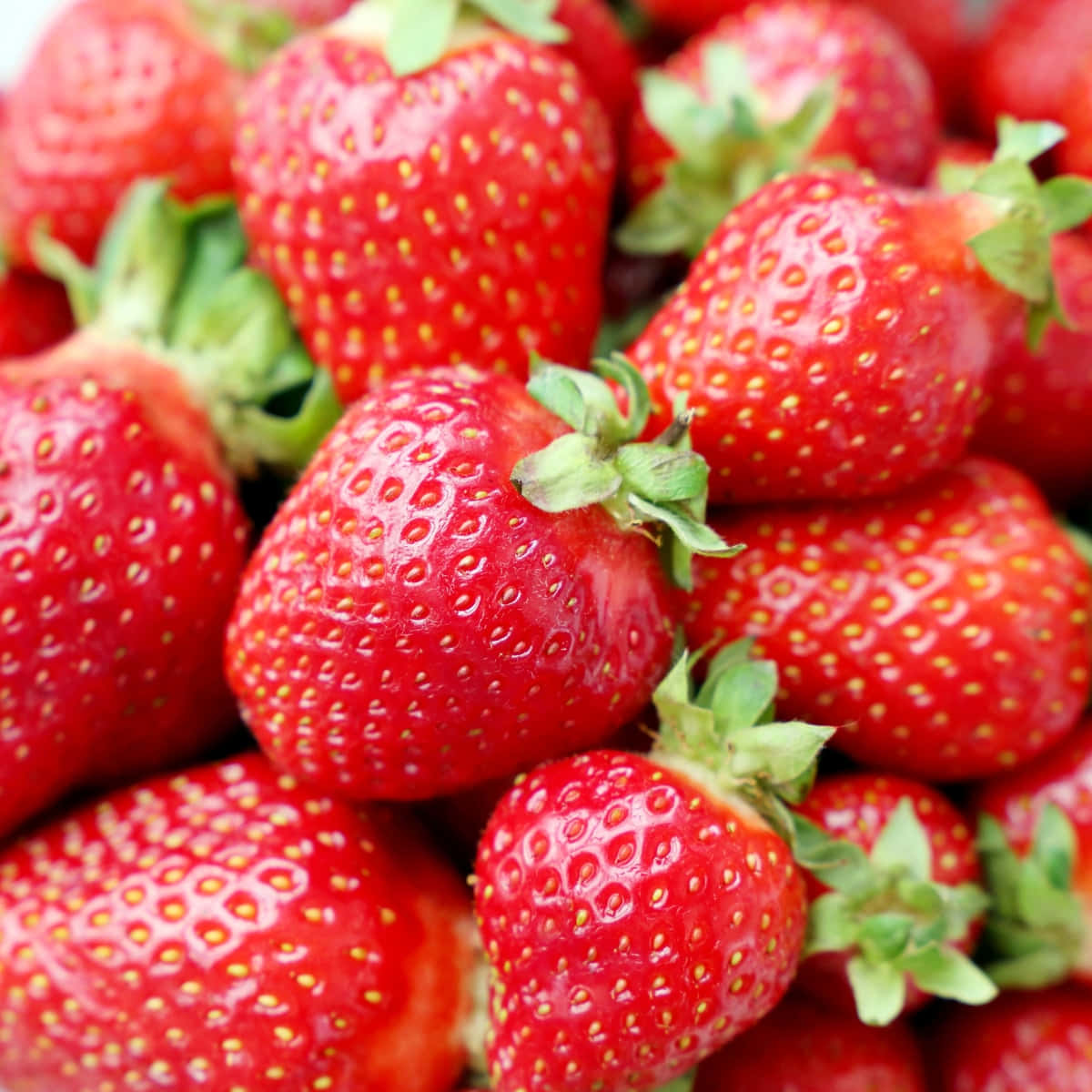 A Close Up Of A Bunch Of Strawberries