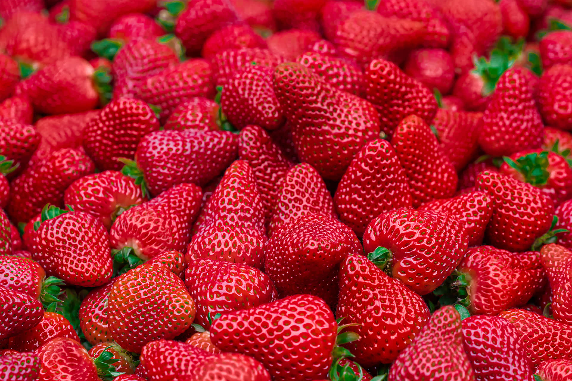 Fresh and sweet strawberry that's ready to be enjoyed!