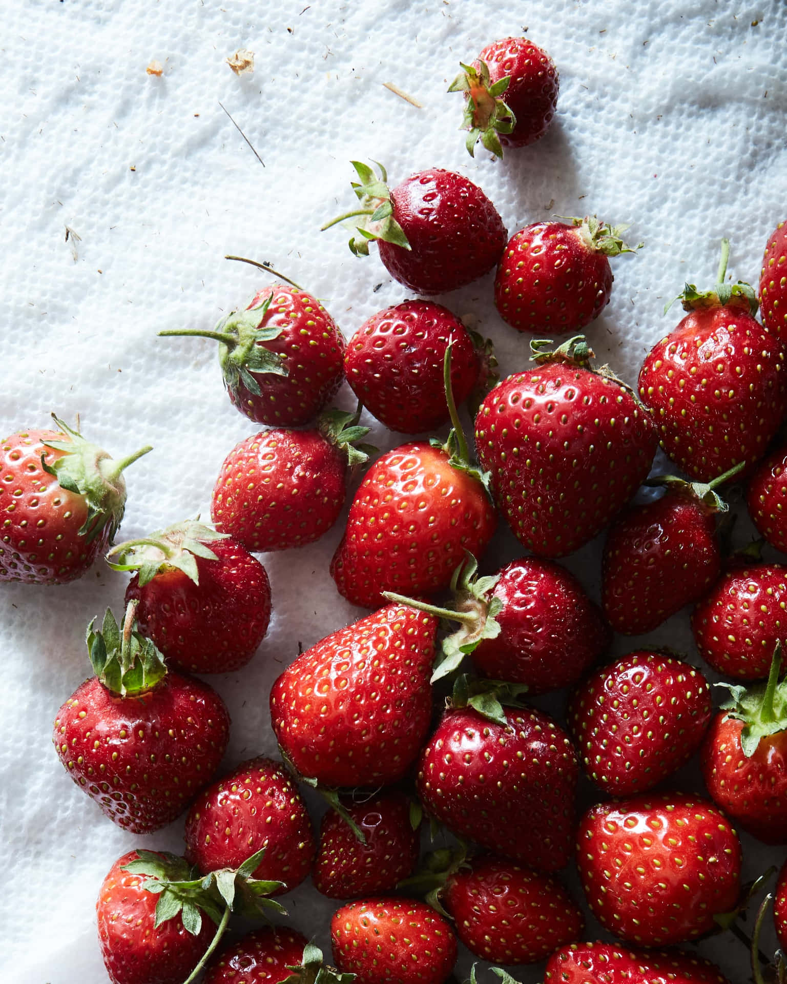 Frische& Saftige Erdbeeren