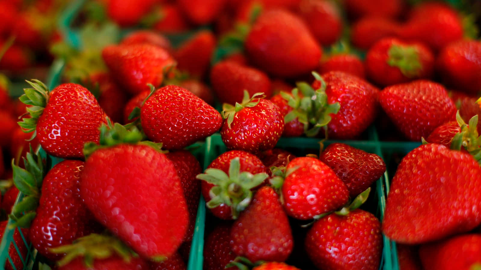 Bite Into The Sweetness of Strawberry Season