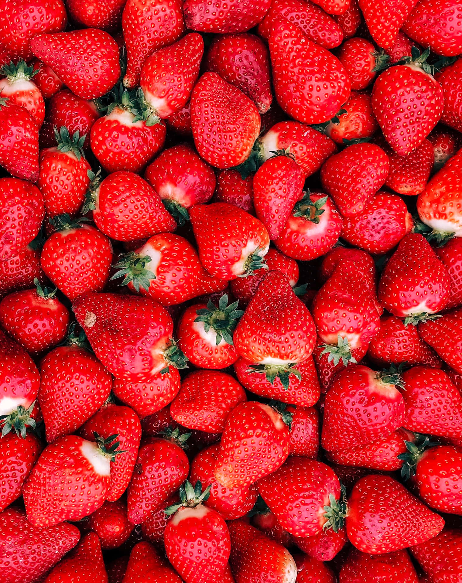 Süßeund Saftige Erdbeeren