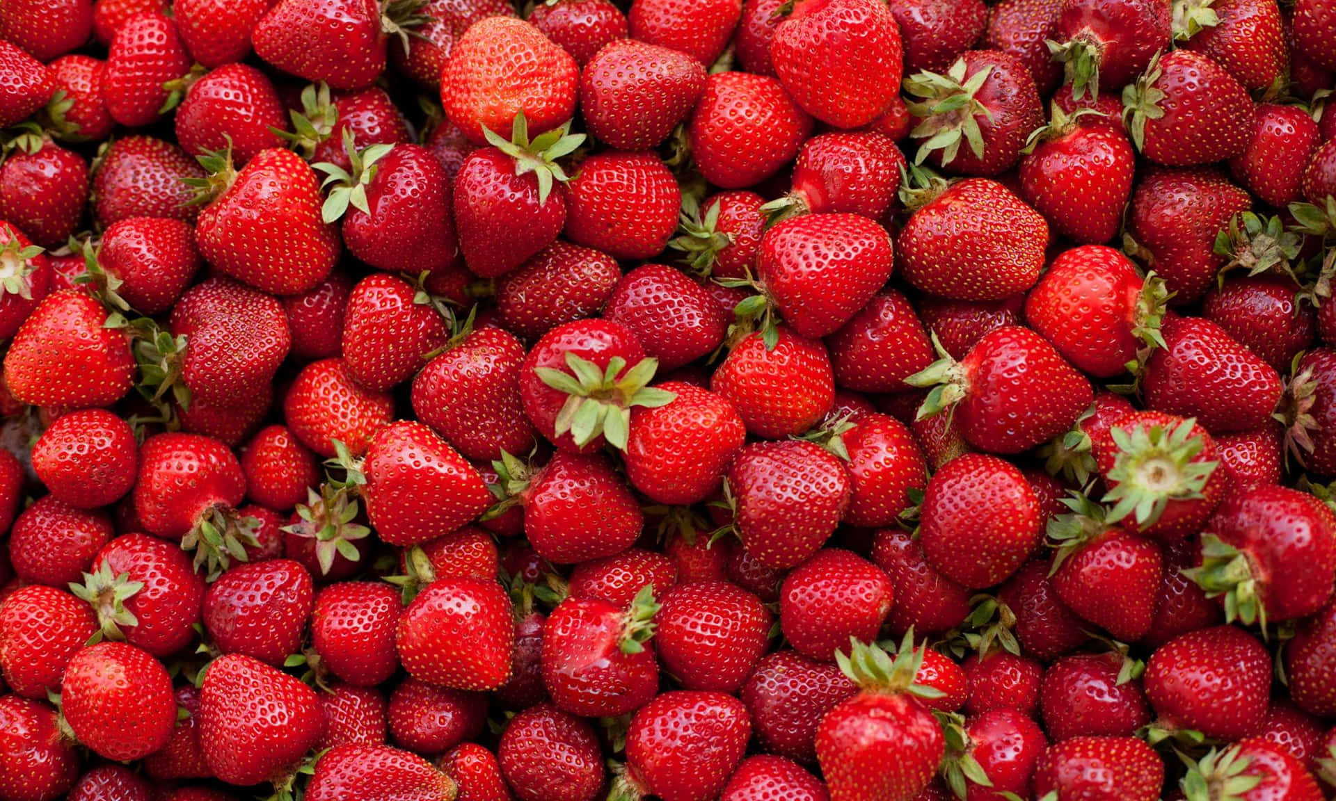Fresh and Juicy Strawberries