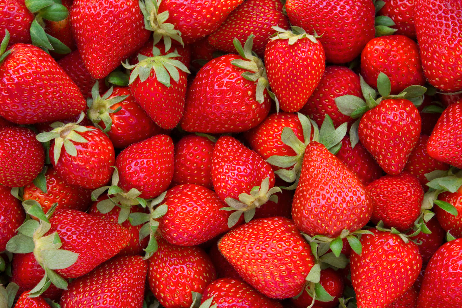 Genießensie Den Süßen Geschmack Frisch Gepflückter Erdbeeren