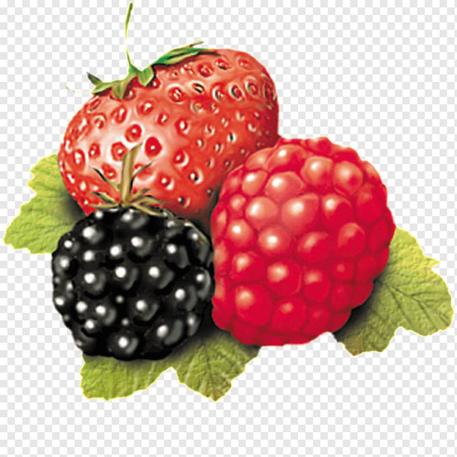 Erdbeer, Himbeer-, Brombeer-illustration Wallpaper