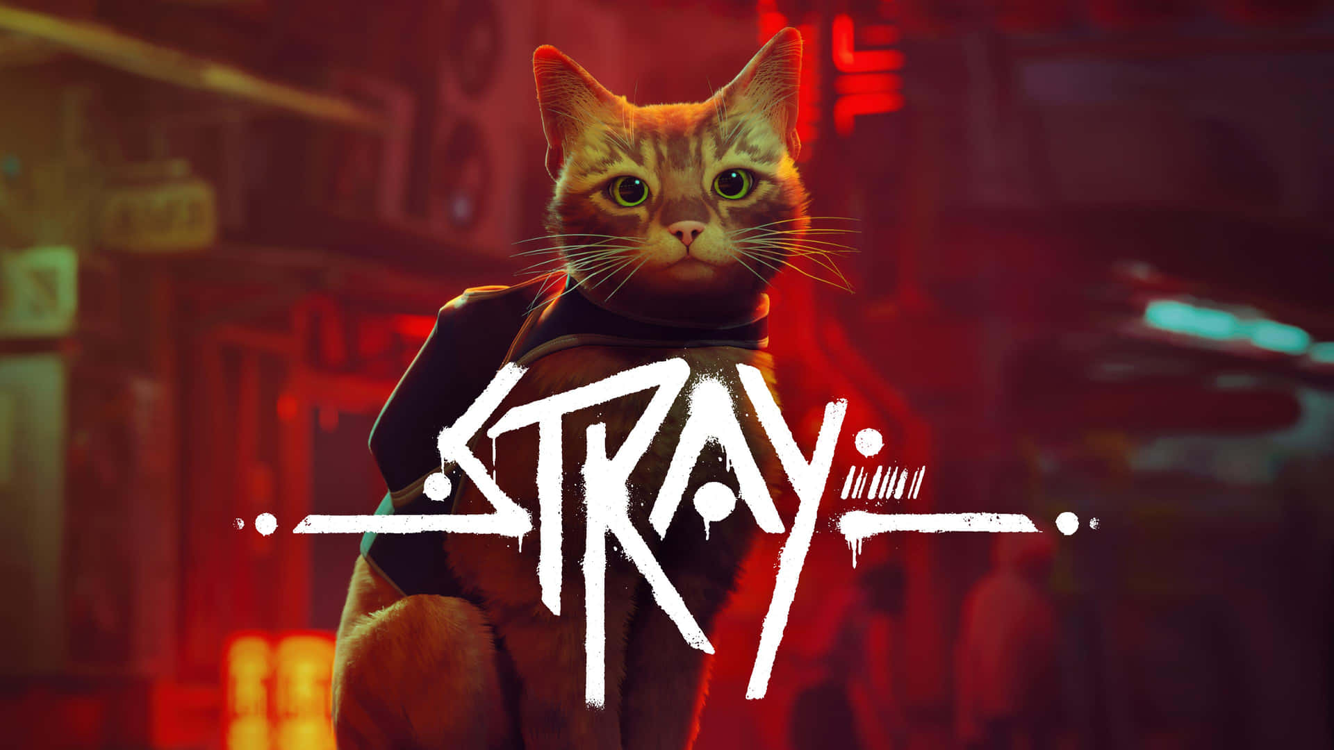 Stray Video Game Cat Hero Wallpaper