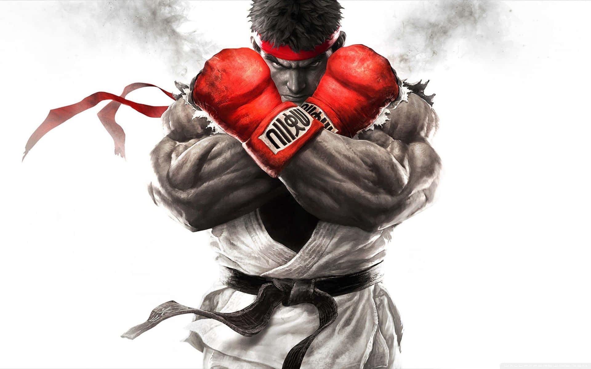 Two Worldwide Street Fighters Competing for a Victory Wallpaper