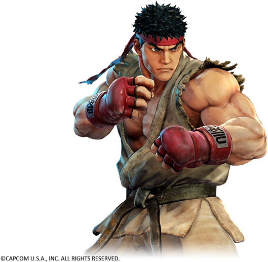 Street Fighter Character Readyfor Battle PNG