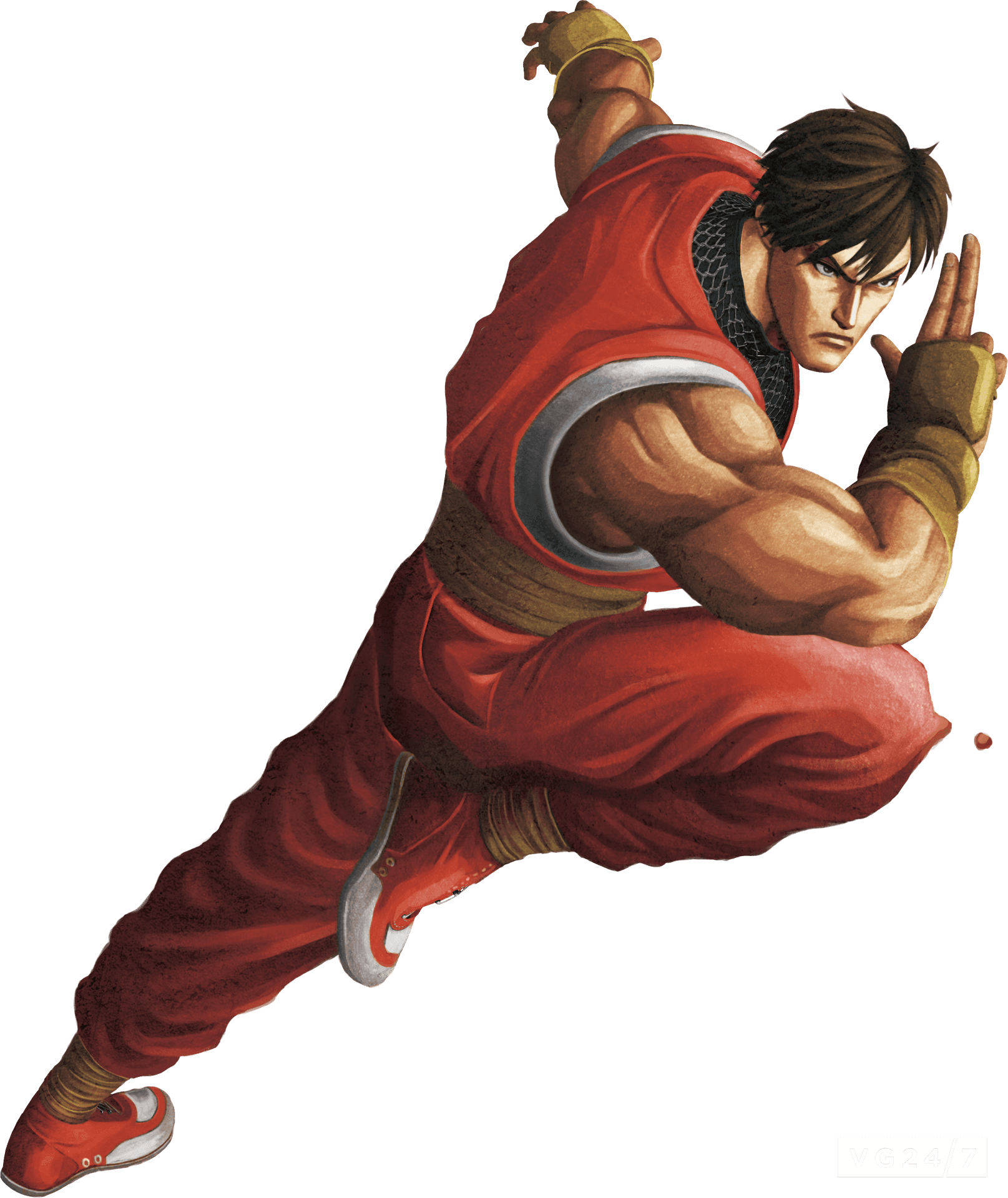 Street Fighter Characterin Action PNG