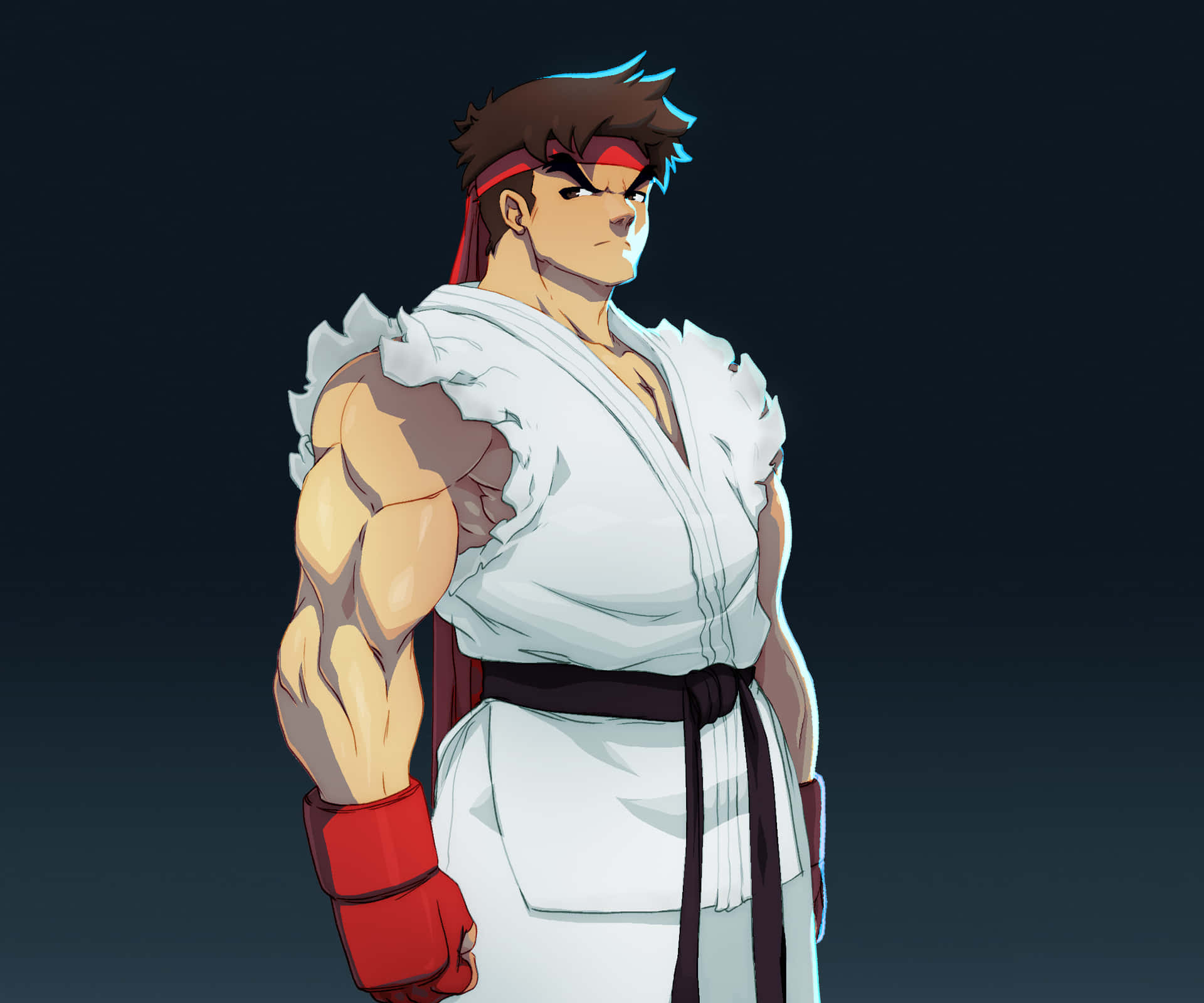 Street Fighter Ryu Power Stance Wallpaper