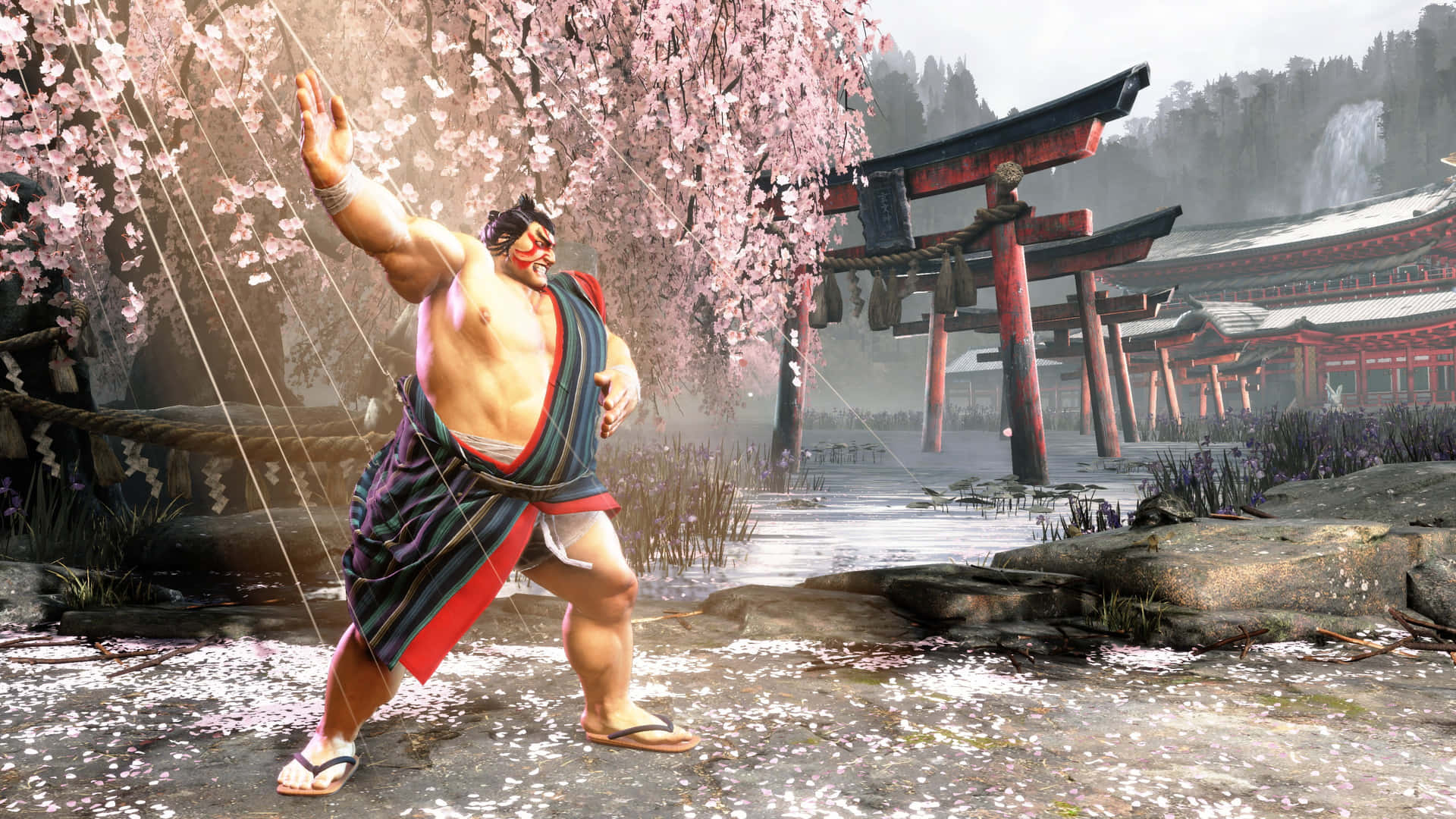 Street Fighter6 Sumo Warrior Cherry Blossoms Wallpaper