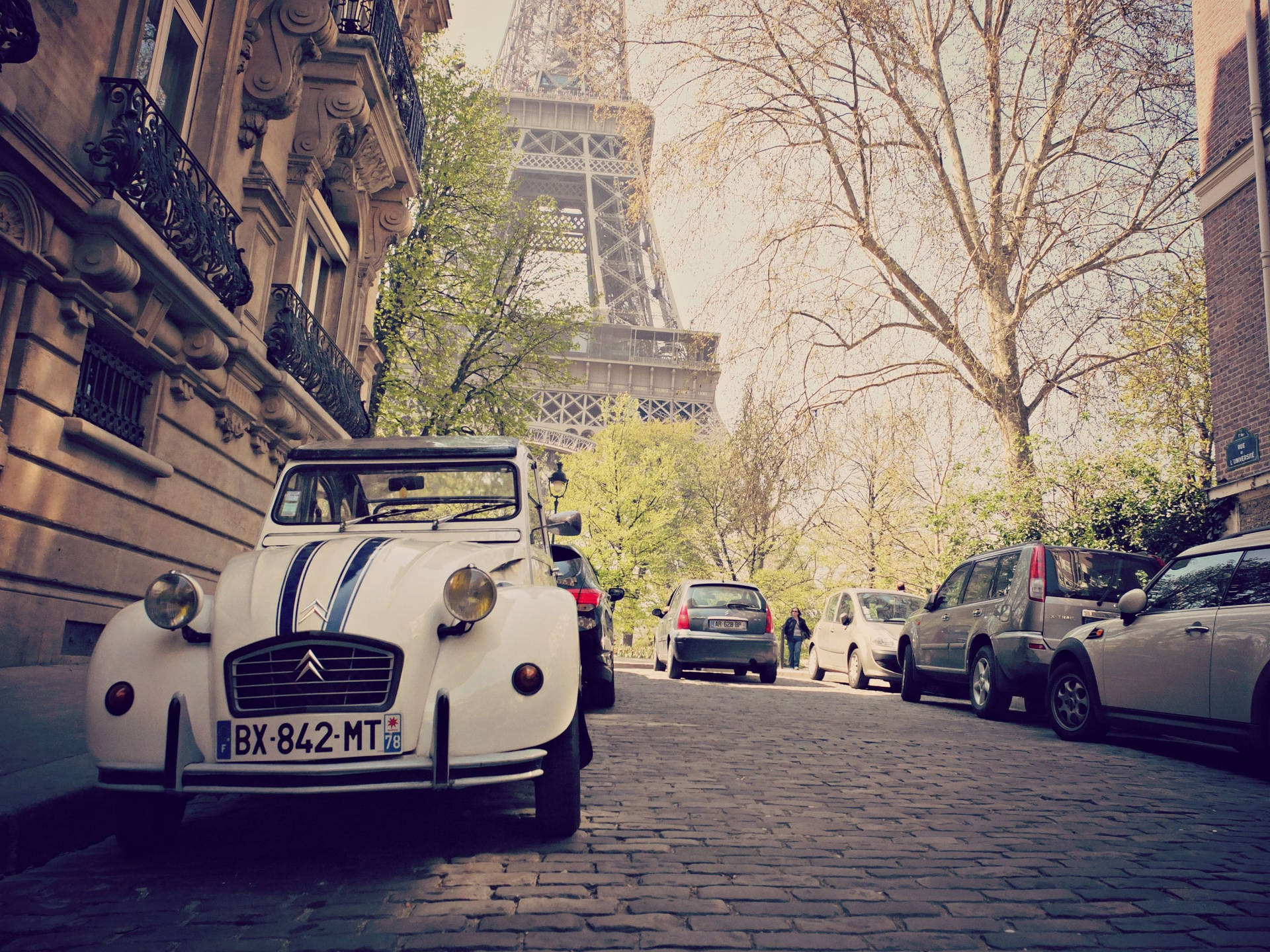 Street In Paris Photography