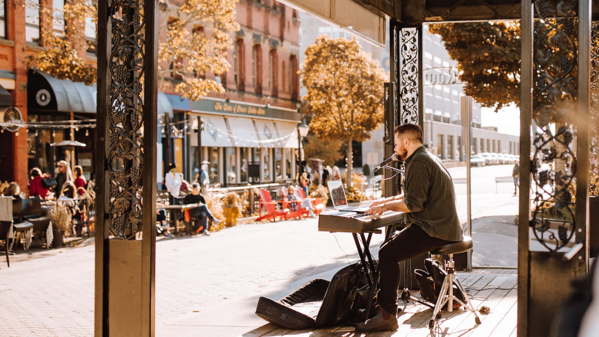 Musicien De Rue À Charlottetown En Automne Fond d'écran