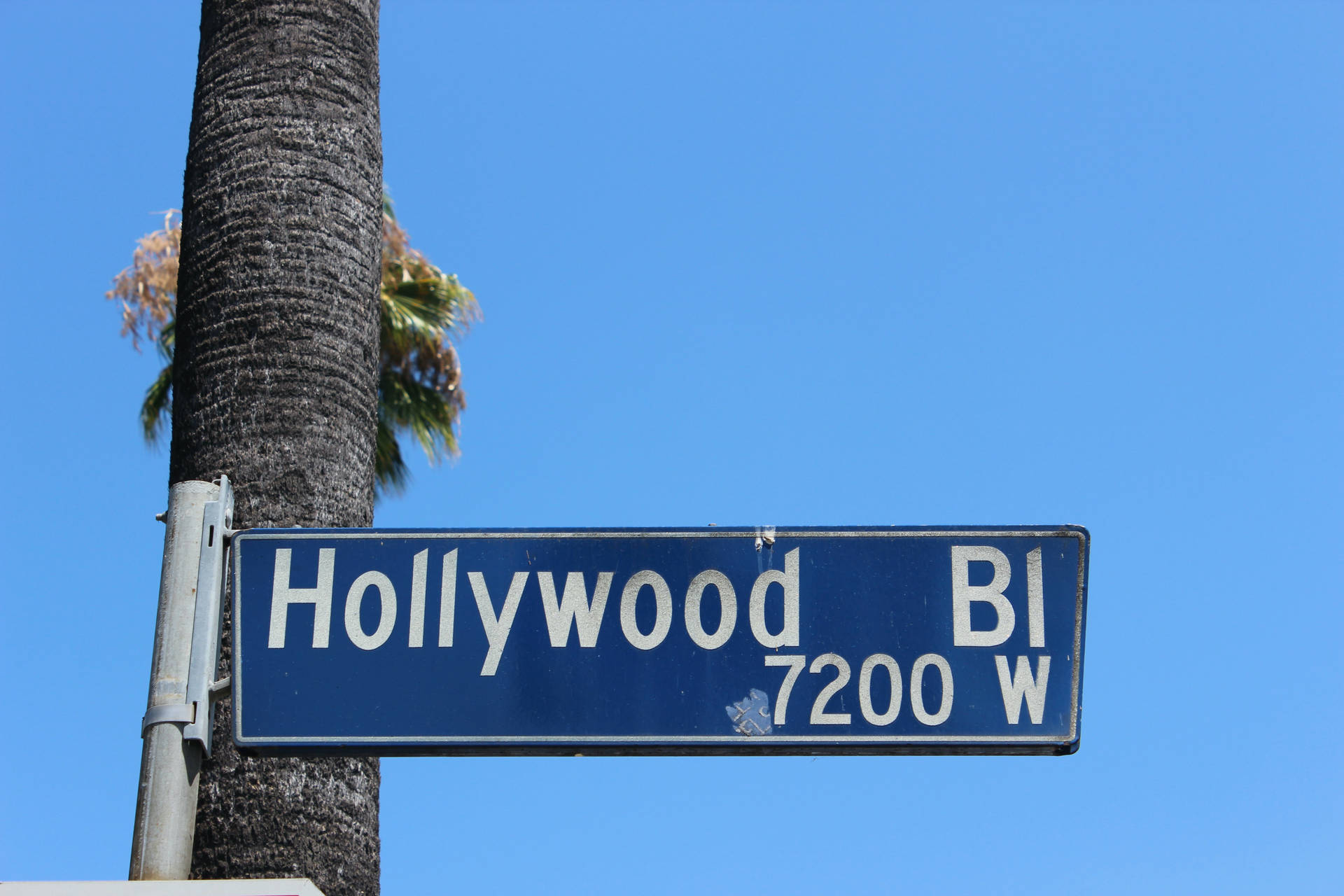 Street Sign In Hollywood