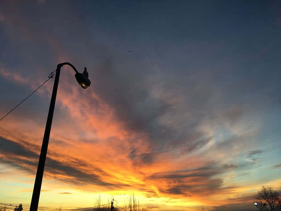 Streetlight Sunset Silhouette Coquitlam Wallpaper