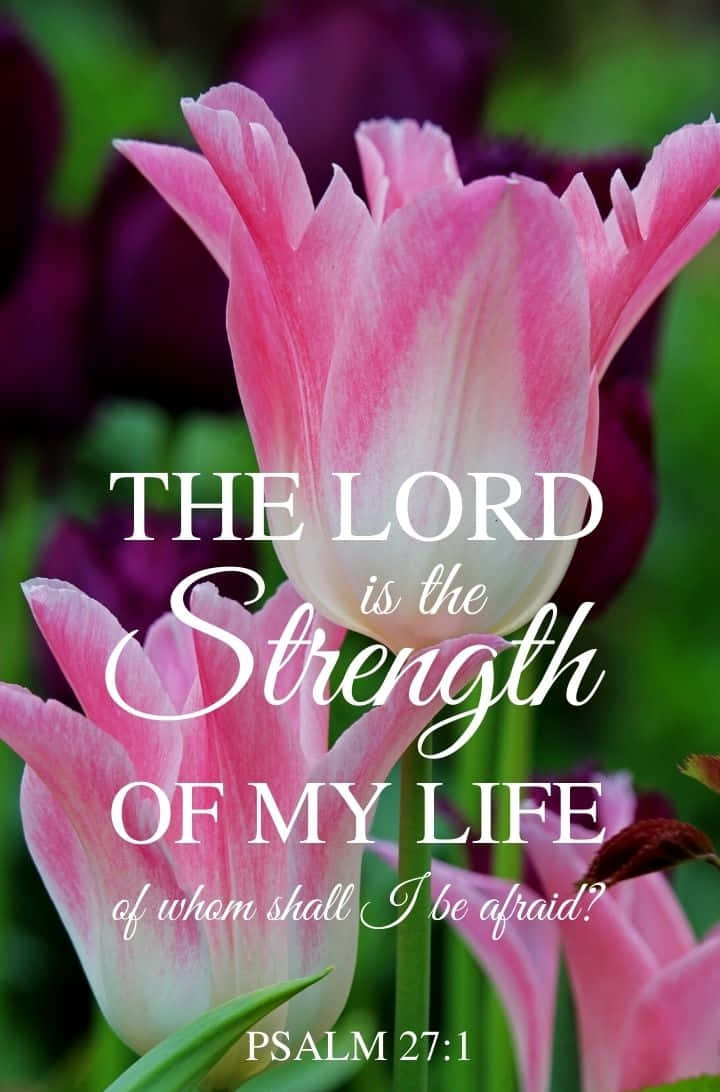 Strength Of My Life Psalm271 Floral Background Wallpaper