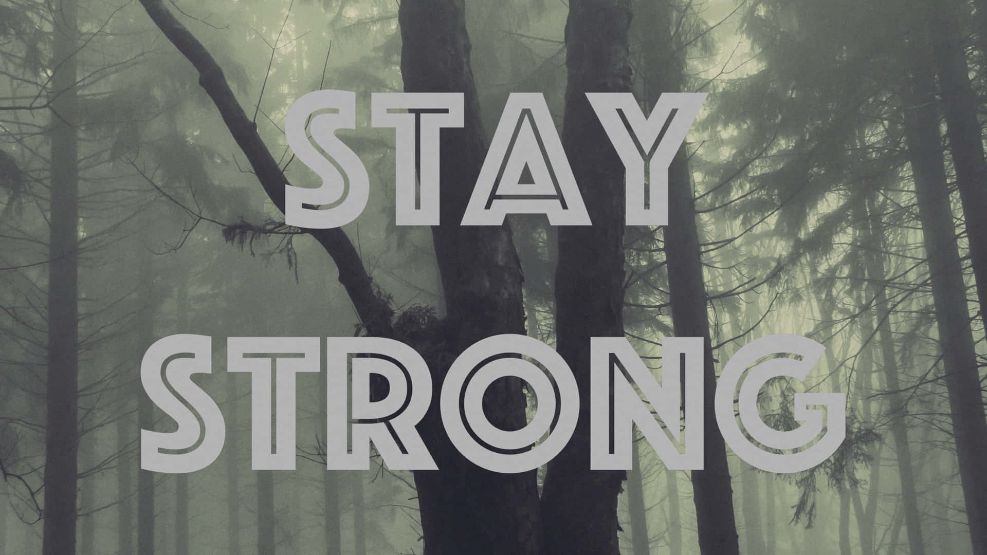 Stay Strong - A Forest With Trees Wallpaper