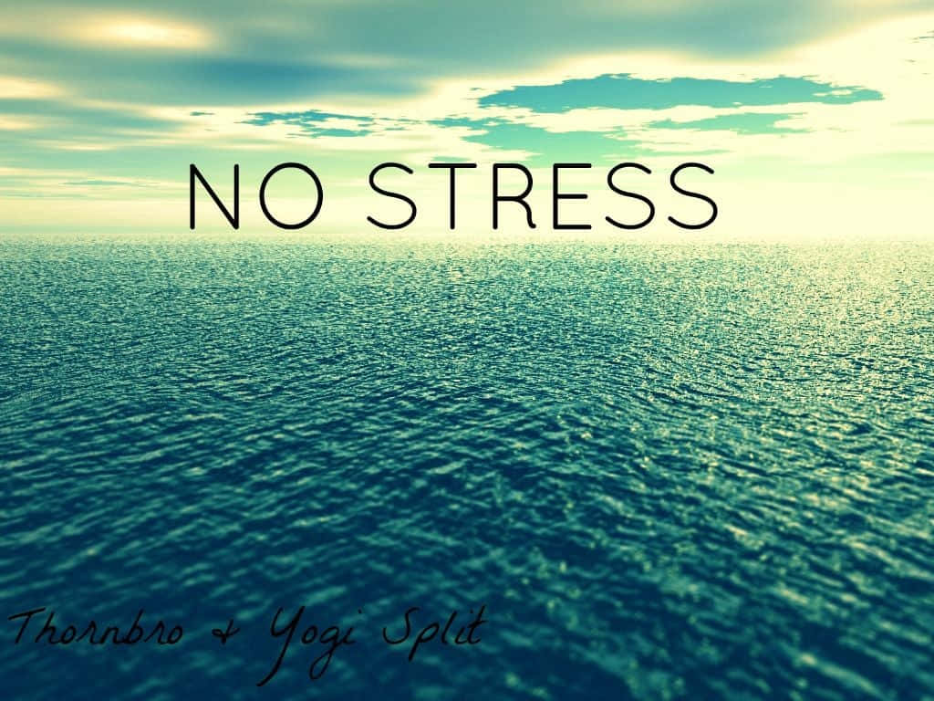 Stress Scenic Ocean View Poster Wallpaper