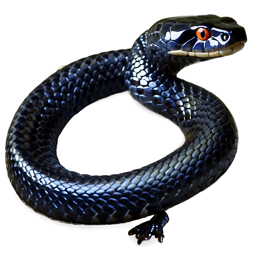 Striking Black Snake Png 06132024 PNG