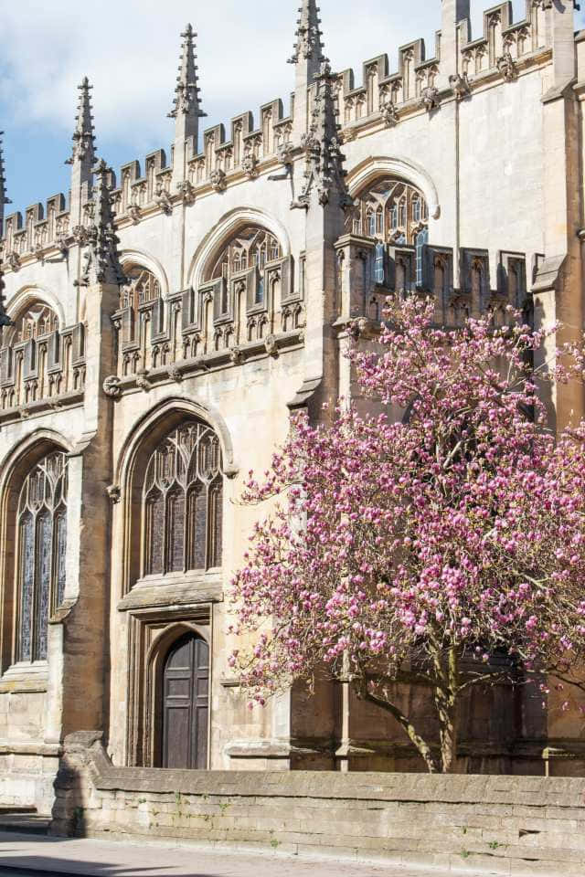 Striking View Of The Historical Oxford University Buildings. Wallpaper