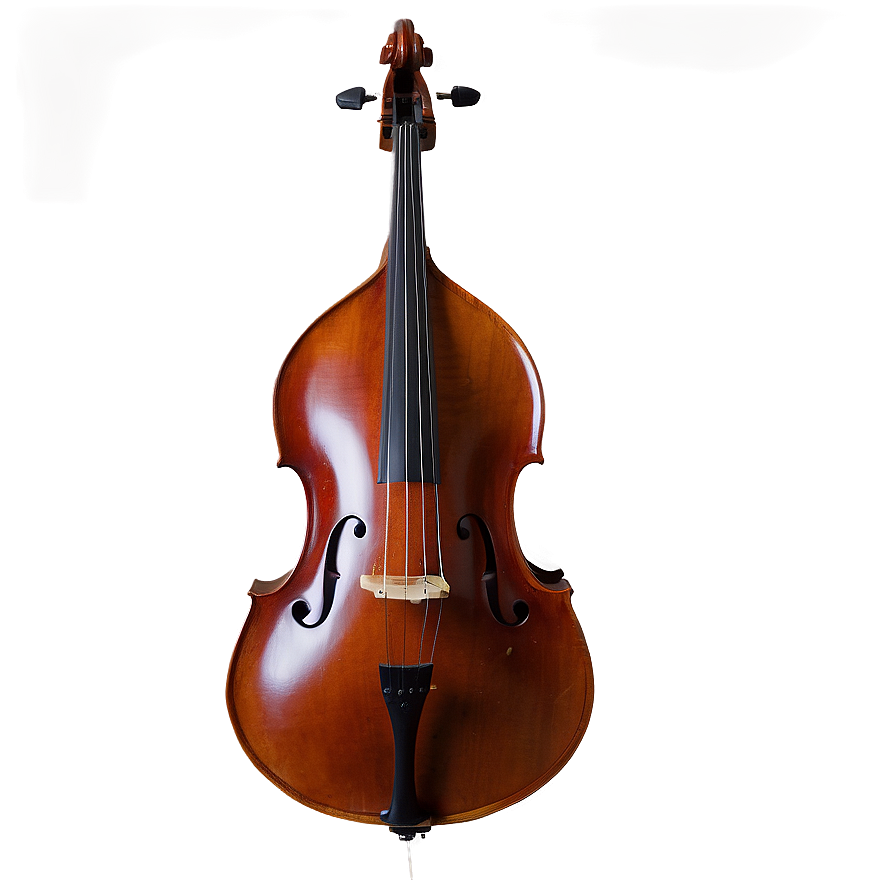 String Double Bass Png Tma PNG